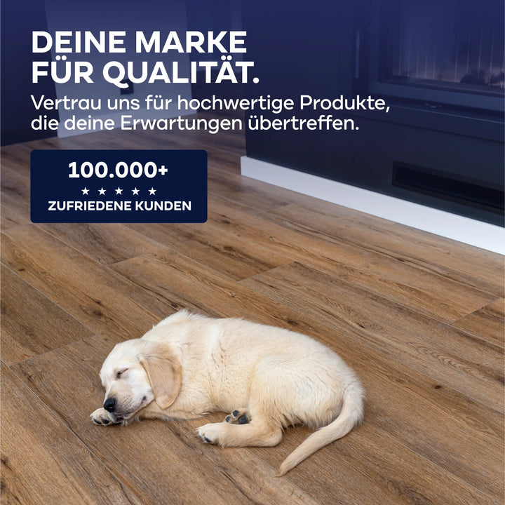 Ein hellbeiger Welpe schläft auf Holzfußboden vor dem Kamin. Text: "plid - DEINE MARKE FÜR QUALITÄT". Vertraue auf emissionsarme, lösemittelfreie Plid Universal Bodenkleber - stark haftend. Über 100.000 zufriedene Kunden im Kreis gezeigt.