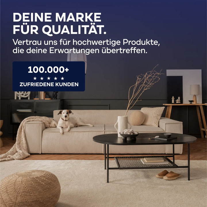 Plid steht für Qualität. Verlassen Sie sich auf uns für Top-Produkte wie DesignColour Innenfarbe - Emissionsarm &amp; Geruchsneutral. Über 100.000 zufriedene Kunden vertrauen unserer Marke.