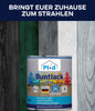 Eine Dose plid Buntlack - wetterfest & hochdeckend für innen & außen ist vor grün, schwarz und weiß gestrichenen Holztafeln platziert. Darüber steht zu lesen: BRINGT EUER ZUHAUSE ZUM STRAHLEN.